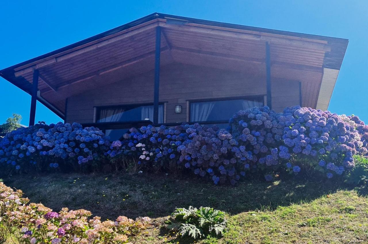 Turismo Del Bosque Daire Castro Dış mekan fotoğraf