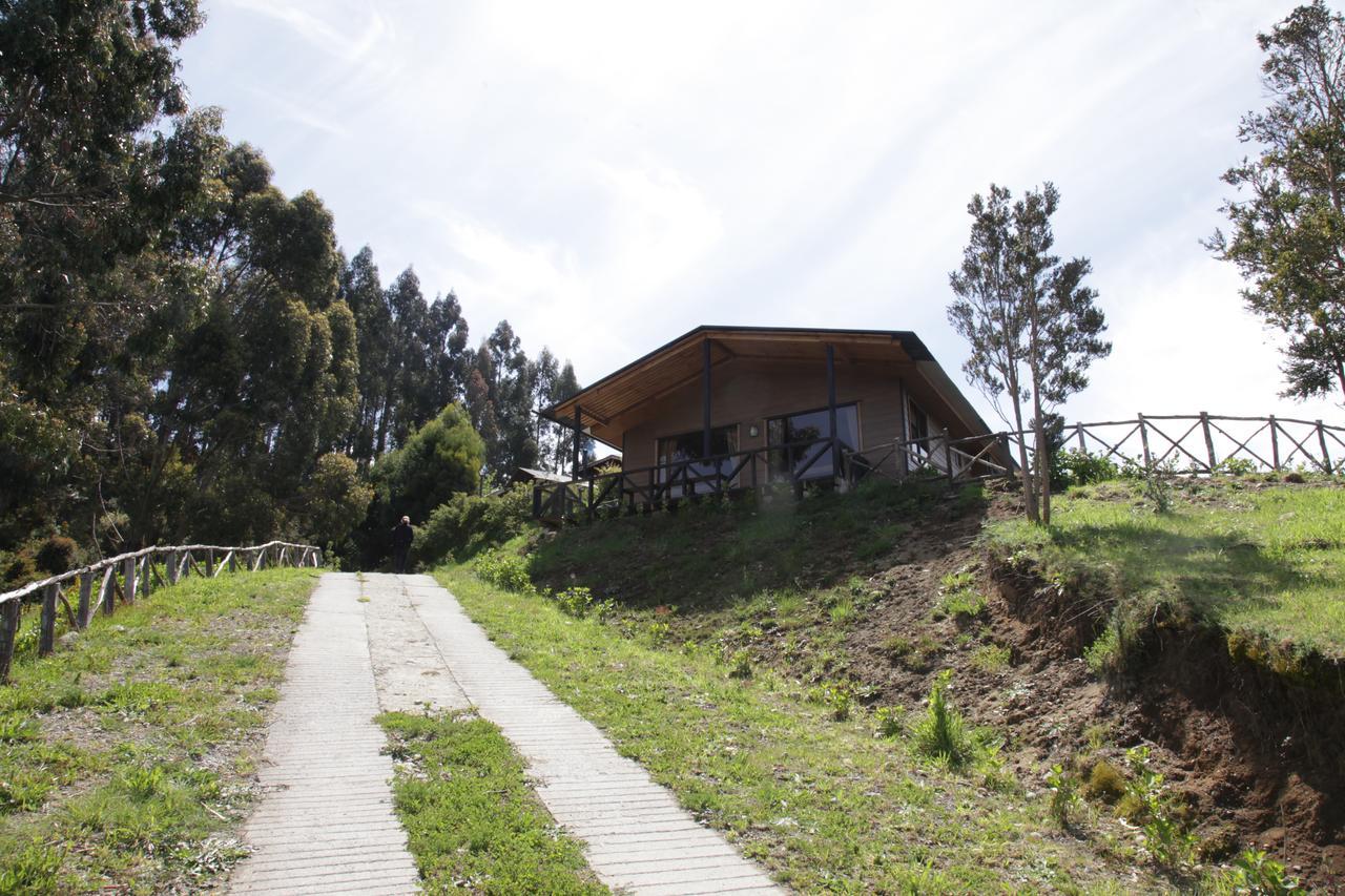 Turismo Del Bosque Daire Castro Dış mekan fotoğraf