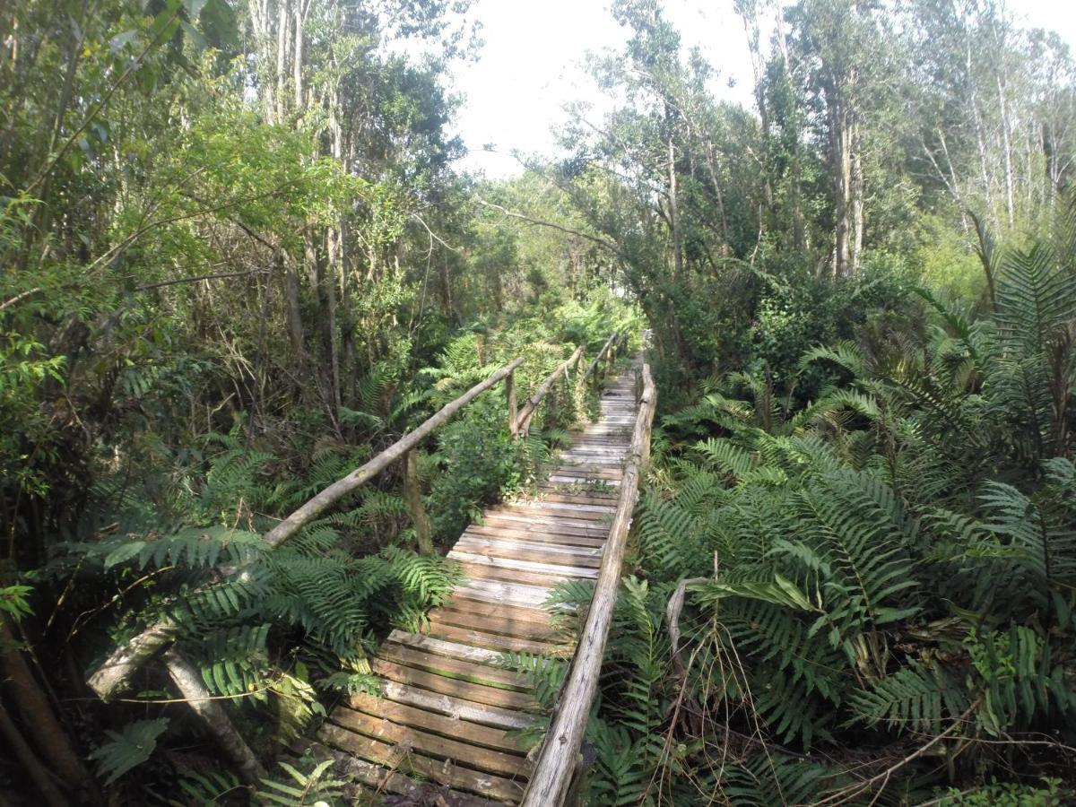 Turismo Del Bosque Daire Castro Dış mekan fotoğraf
